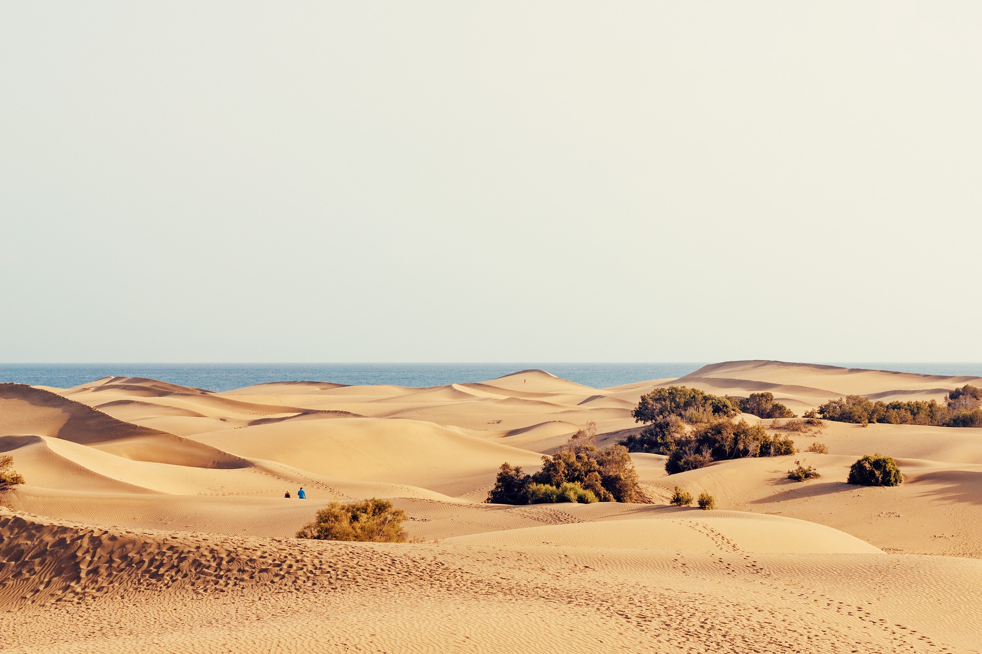 Die Dünen von Maspalomas: Sahara-Feeling hautnah erleben
