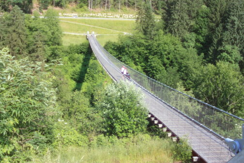 Hängeseilbrücke inmitten der Natur
