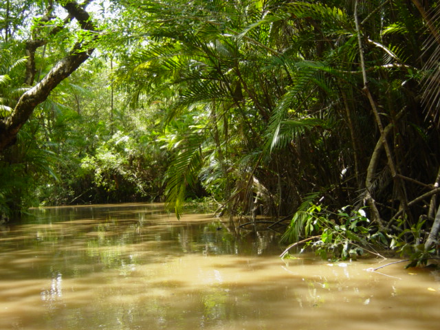 Den Amazonas erleben