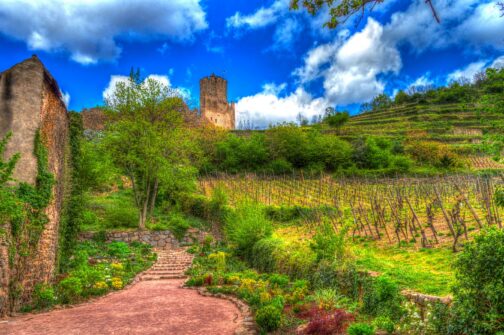 Elsass Kaysersberg