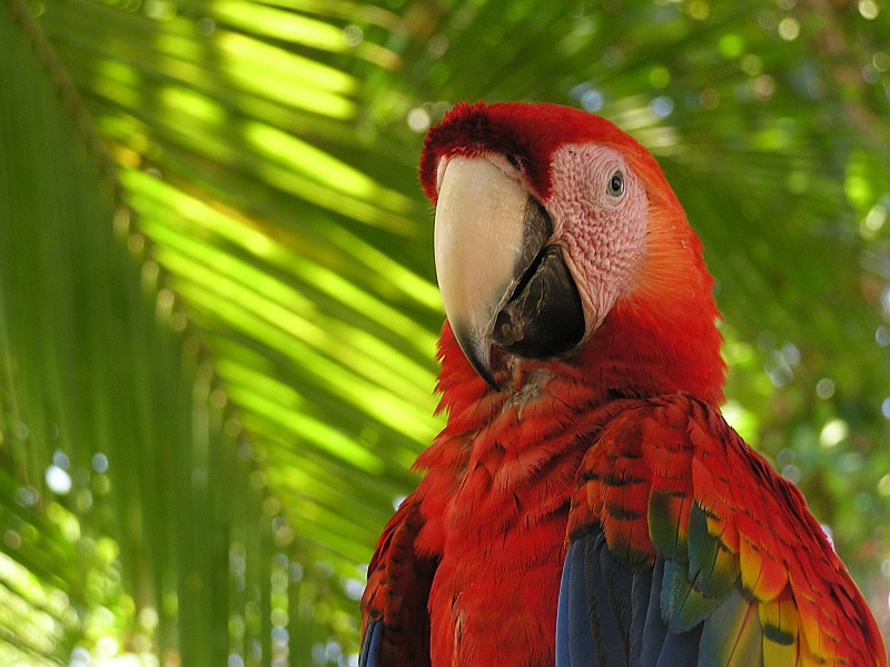 Costa Rica mit dem Mietwagen erkunden