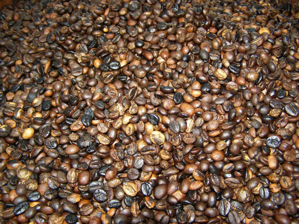 Route des Kaffee in Nicaragua etabliert