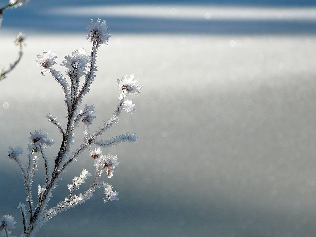USA: Schwere Schneestürme behindern Reisepläne