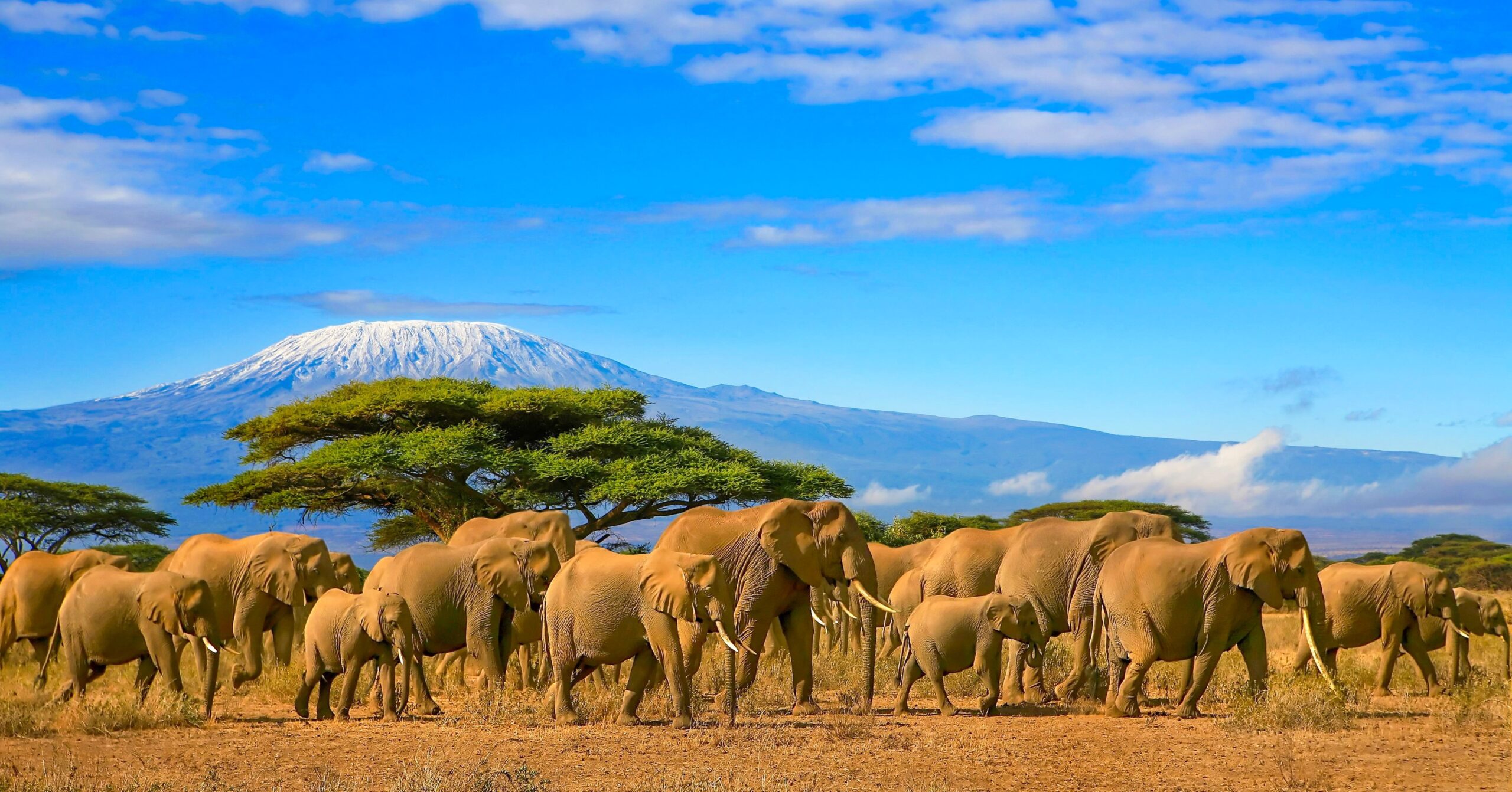 Tourismus in Afrika kommt wieder in Schwung