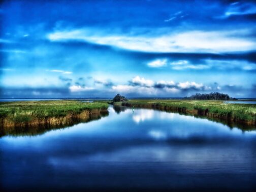 Landschaft auf dem Darß