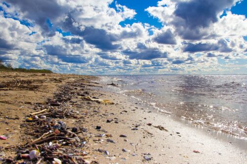Schlechtere Klimabilanz der Tourismusindustrie wegen Reisender