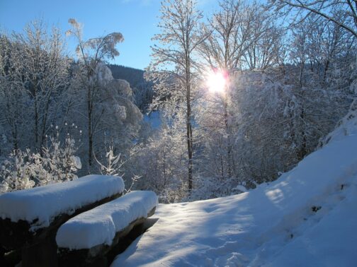 Schwarzwald im Winter