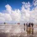 Wattenmeer