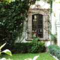 Garten in Guanajuato