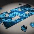 Virus Puzzle
