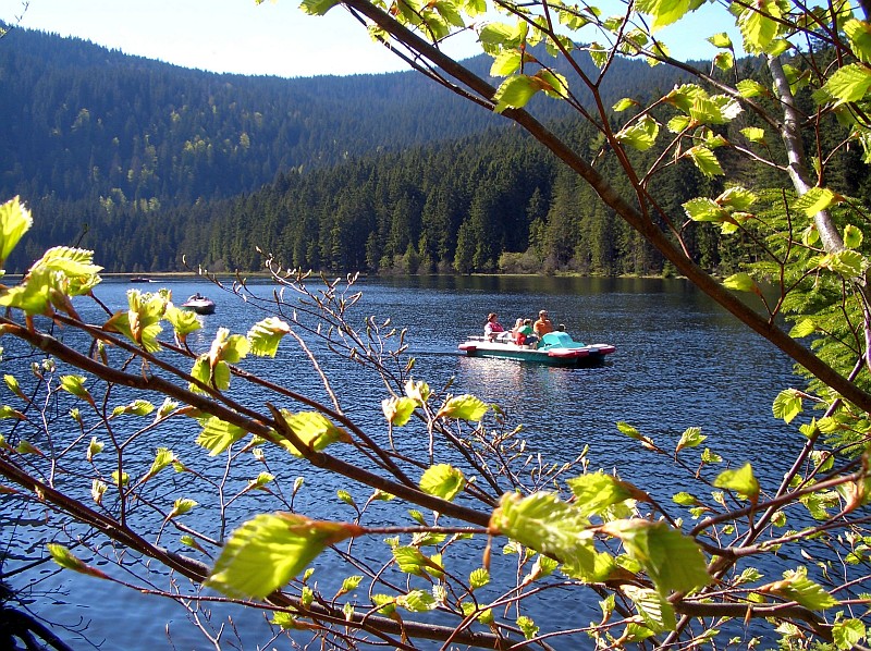 Im Frühling am Großen Arbersee im Bayerischen Wald