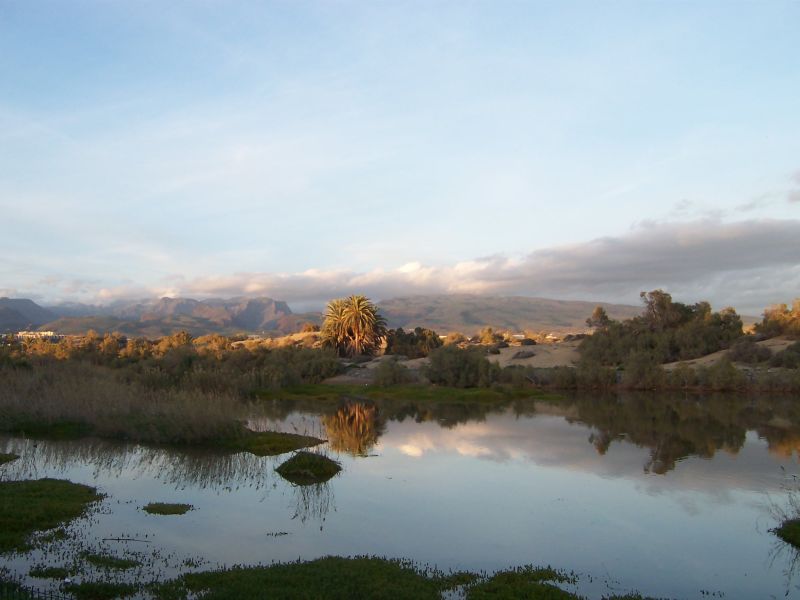 Landschaft bei Maspalomas, Gran Canaria