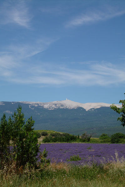 Der Mont Ventoux: höchste Erhebnung im Vaucluse
