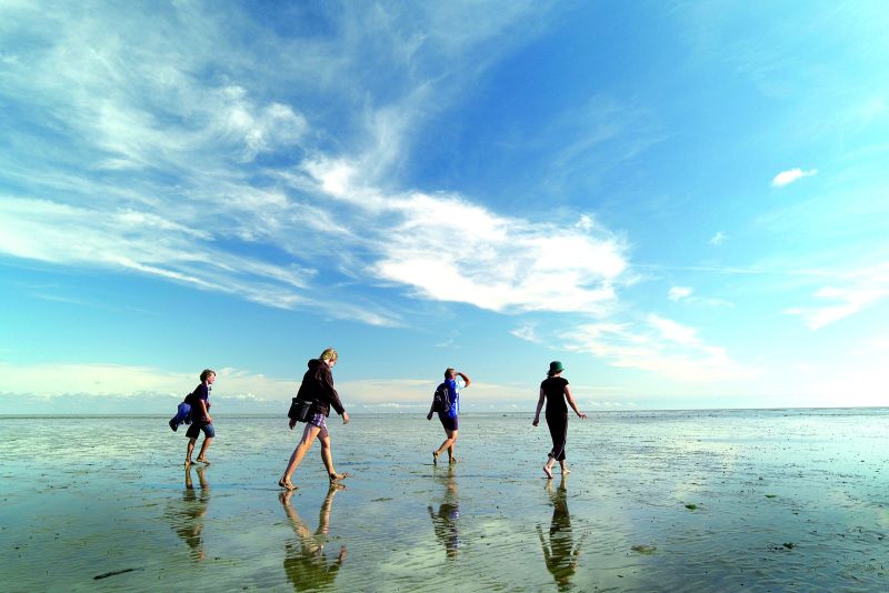Die Insel Pellworm lädt zum Wattwandern mit der ganzen Familie ein. (© Pellworm.de)
