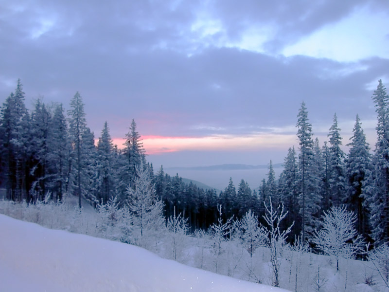 Skisport in New Mexico