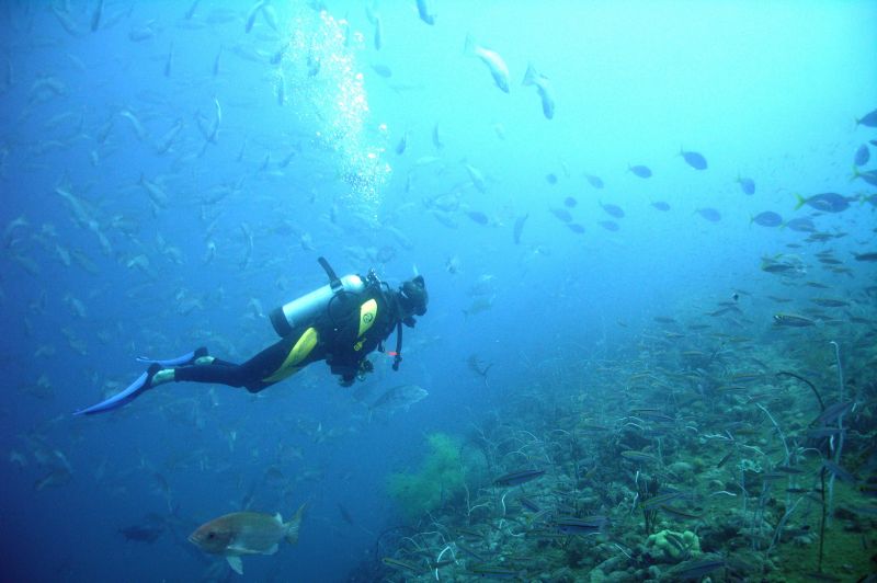 Tauchen in Tahiti
