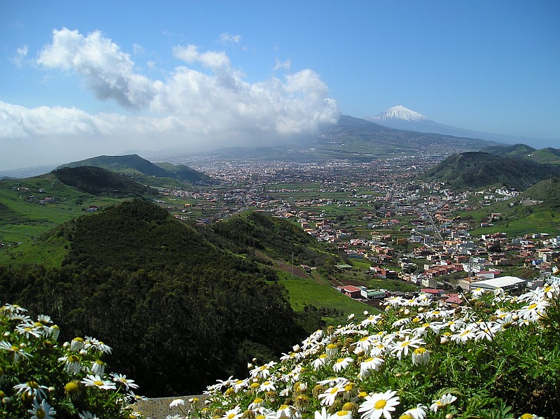 Trauminsel Teneriffa