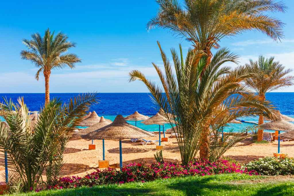 Rotes Meer 2026: Soma Bay bekommt zweiten Robinson Club – neue Resorts an der ägyptischen Küste