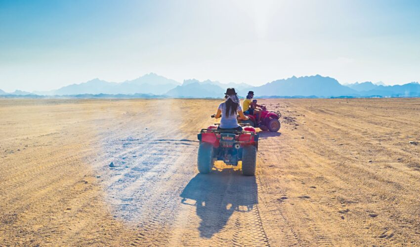 quad-safari