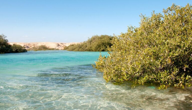 sinai ras mohammed