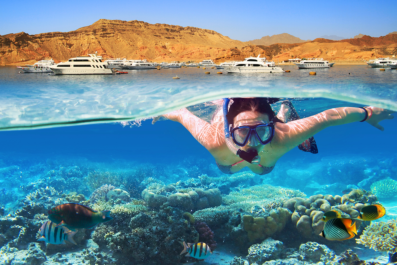 Beste Tauchhotels in Ägypten