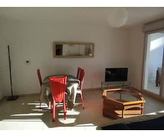 Appartement d'une pièce libre et renové