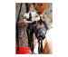 Dominatrice cherche un homme soumis