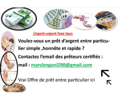 le seul prêteur legal : marclongoni290@gmail.com