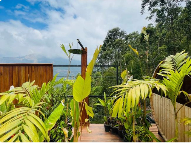 Mountain View Staycation Munnar | Luxury Glamping in Munnar
