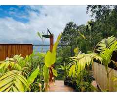 Mountain View Staycation Munnar | Luxury Glamping in Munnar