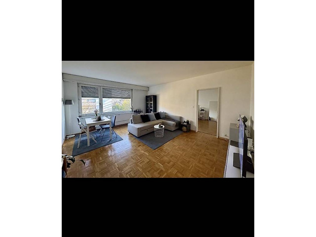 Appartement très lumineux 2,5piece 56m²