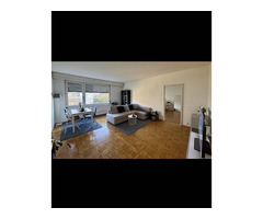 Appartement très lumineux 2,5piece 56m²