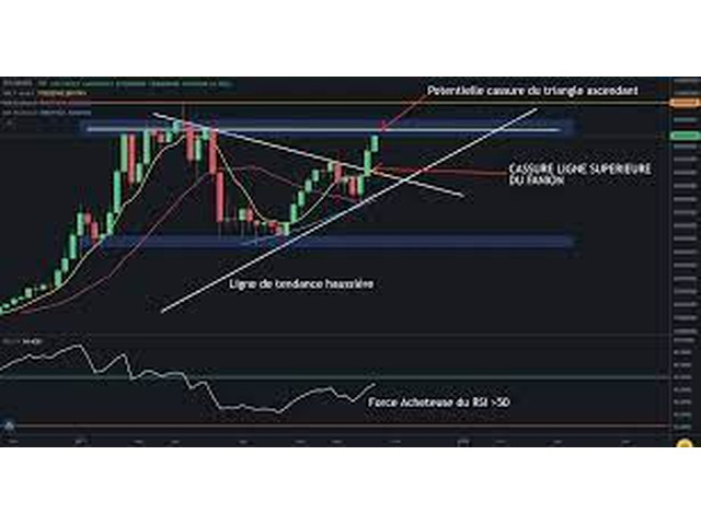 - Formation trading trading.trader.fr@gmail.com -