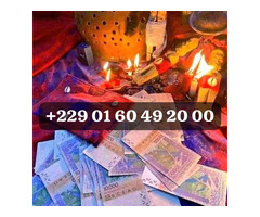 Vrai Portefeuille Magique A Distance ? +229 01 60 49 20 00
