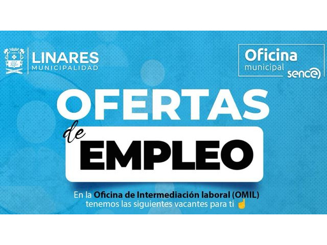 Asistente virtual sin experiencia-auxiliar