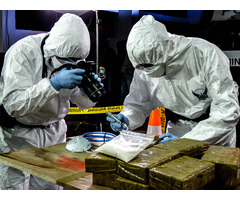 Analisis Toxicologicos Laboratorio Forense