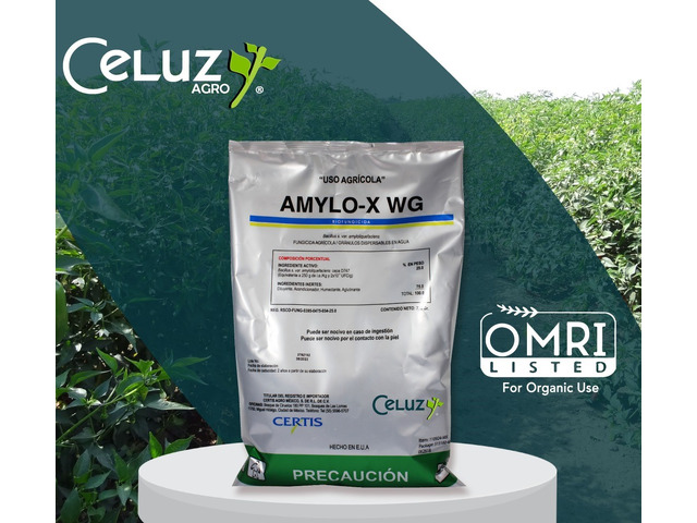 AMYLO-X (producto para el campo)