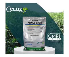 AMYLO-X (producto para el campo)