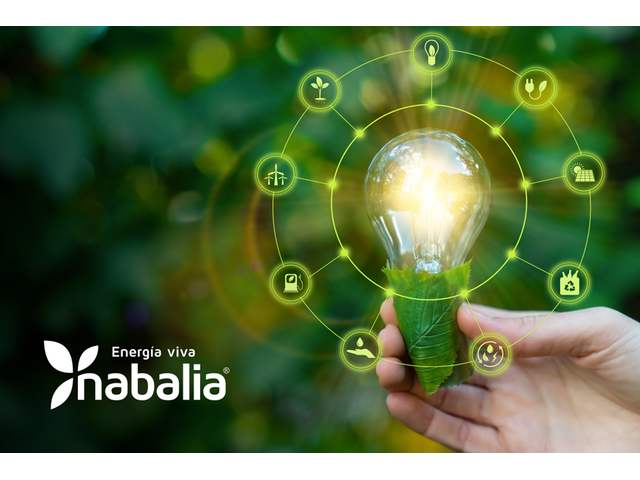 Part-time -Operador de Call-Center – Setor Energético (M/F) – 2ª a 6ª Feira