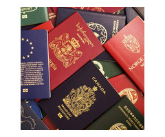 Passaportes de Novidade Real, Licenças de Condutor, Cartões de Identidade