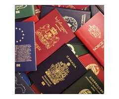 Passaportes de Novidade Real, Licenças de Condutor, Cartões de Identidade