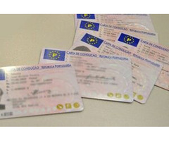 Solicite a sua carta de condução online sem teste