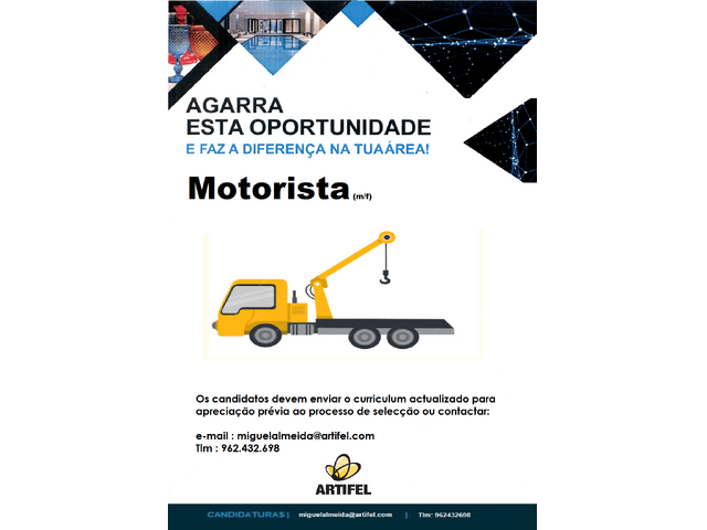 Motorista de pesados (m/f) - Portugal