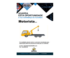 Motorista de pesados (m/f) - Portugal