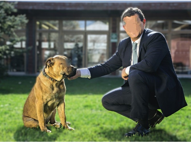 Homem procura mulher