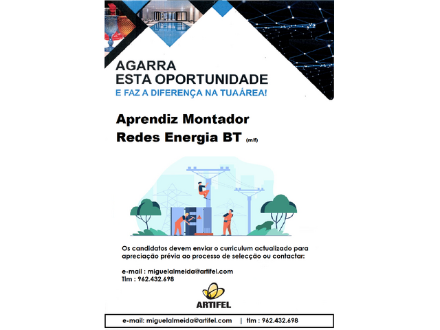 (Aprendiz ) Montador Redes Energia BT (m/f) - Santarém
