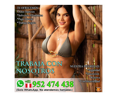 Anfitrionas para Eventos, Altos Ingresos