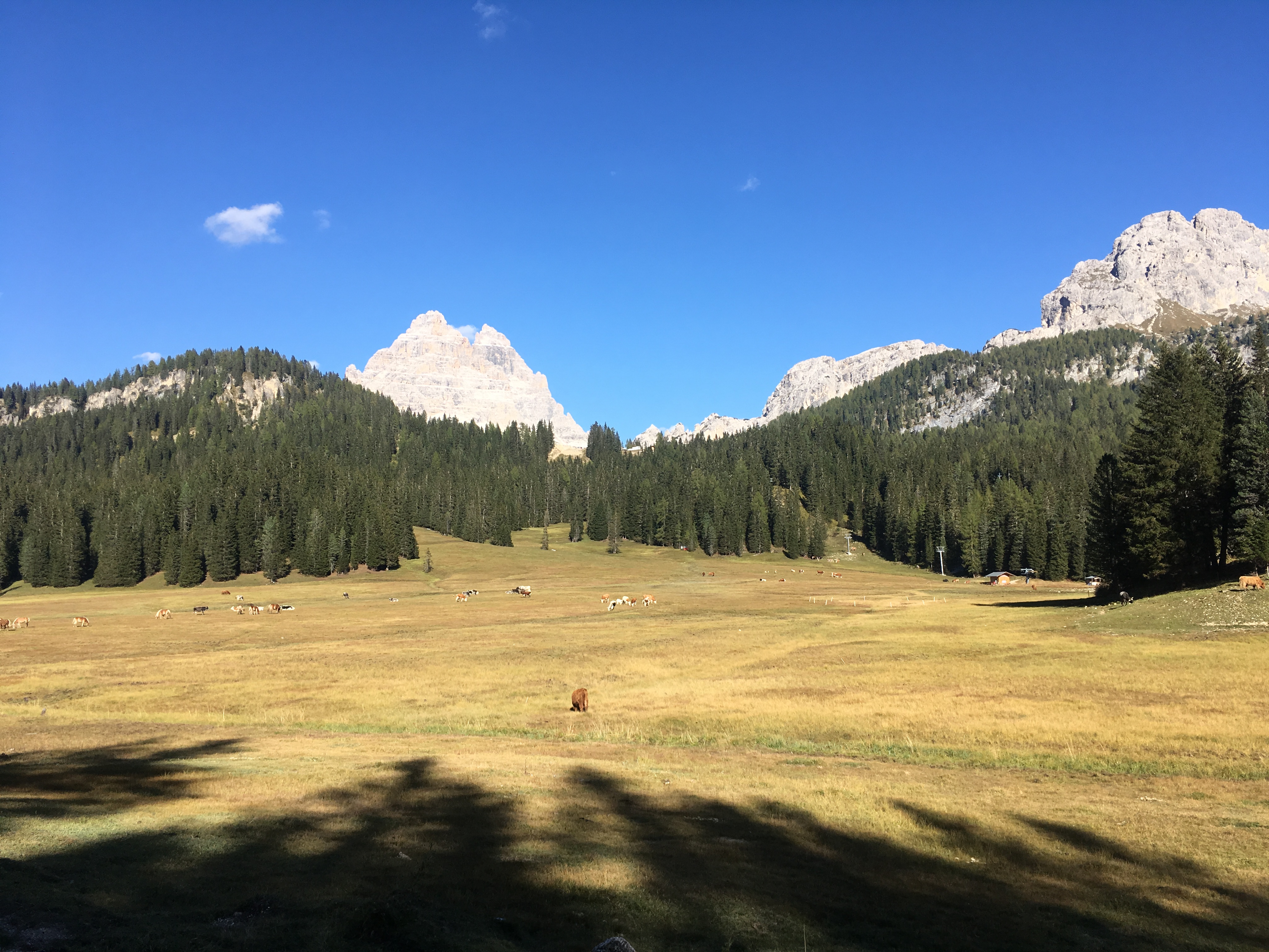 Aktivurlaub in Südtirol
