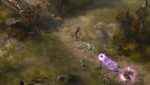 Diablo 3 Screenshot 6