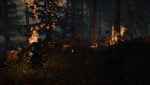 The Forest Screenshot 14